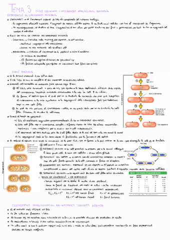 Tema-3-Microbiologia.pdf