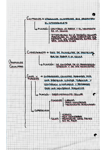 Organulos-Celulares-3.pdf