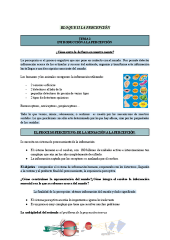 T2-Atencion-Percepcion-y-Motivacion.pdf