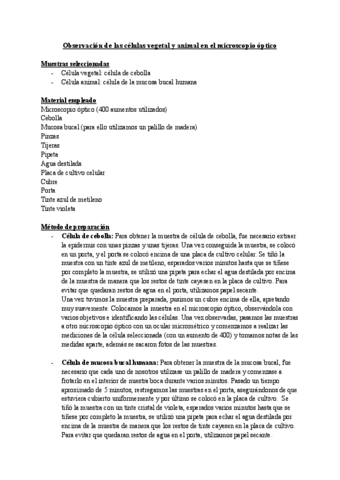 Informe-practica-microscopio-PRACTICA-IB-BIO-NS.pdf