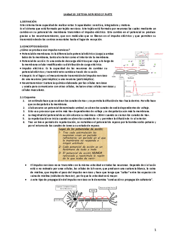 unidad-10-parte-1.pdf