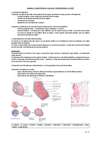 unidad-12-pt.1-Cardiaco.pdf