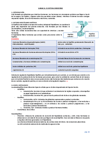 unidad-11-Endocrino.pdf