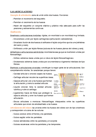 tema-3-parte-2.pdf