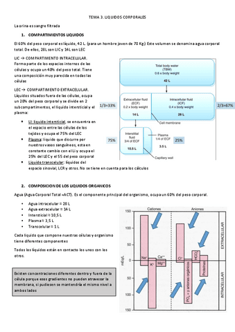 TEMA-3-y-T4.-EyF.pdf
