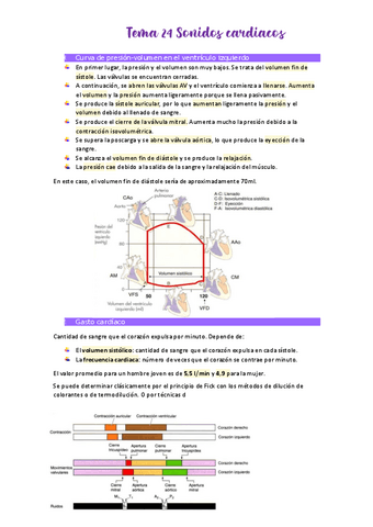 Tema-24-Sonidos-cardiacos.pdf