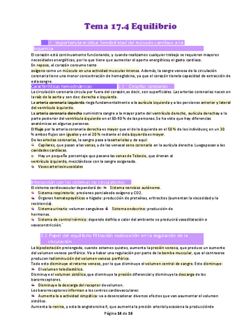 Tema-17.pdf