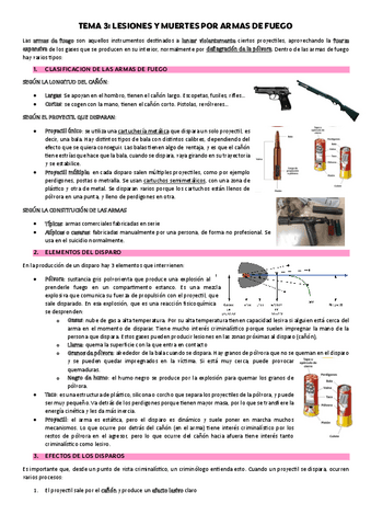 TEMA-3-ARMAS-DE-FUEGO.pdf