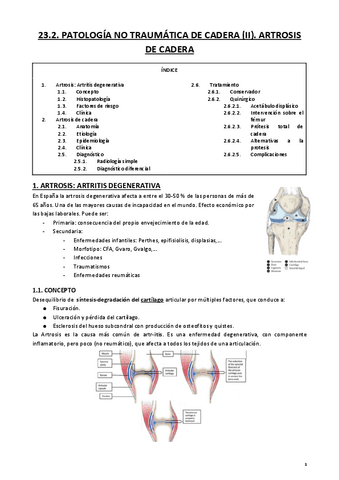 23. TRAUMA CADERA.pdf