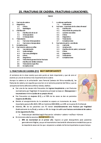 25. TRAUMA CADERA.pdf