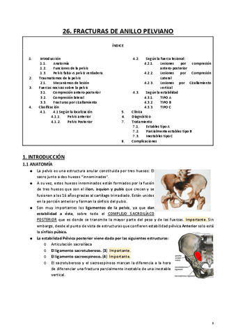 26. TRAUMA CADERA.pdf