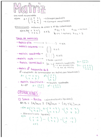 MATRIZ.pdf