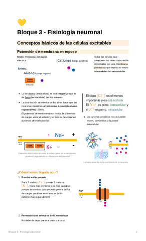 Bloque-3-Fisiologia-neuronal.pdf