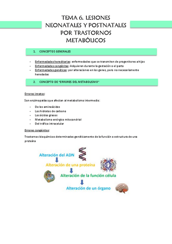 TEMA-6.-PAT-DESARROLLO.pdf