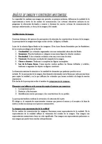 Resumen-5.1..pdf