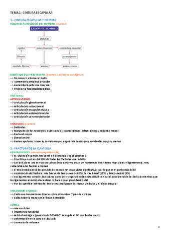 TEMA-1-FAL-II.pdf