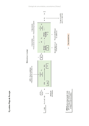 Flujos de Energía (Ejercicio).pdf