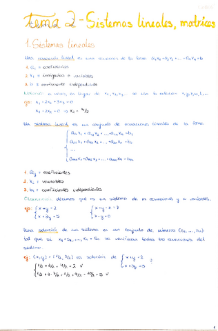 2.-Sistemas-lineales-y-matrices.pdf
