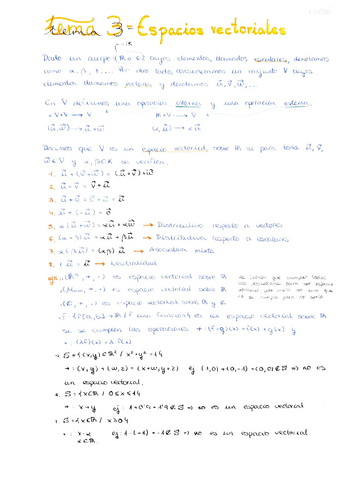 3.-Espacios-vectoriales.pdf