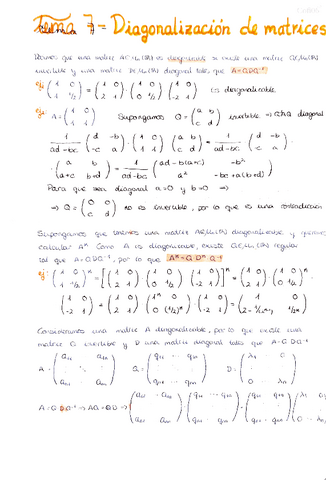 7.-Diagonalizacion-de-matrices.pdf
