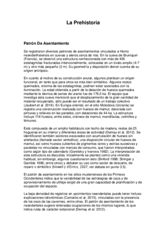Patron-De-Asentamiento.pdf