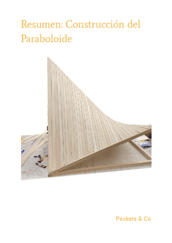 Resumen-taller-madera-de-balsa.docx.pdf