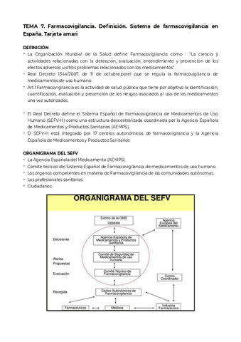 T7.pdf