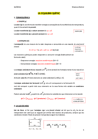 Quimica-Resum-per-temes.pdf