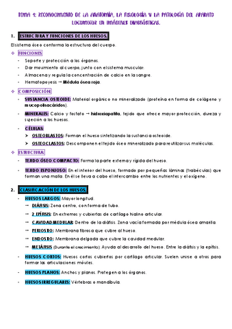 Tema-4-anatomia-pt.-1.pdf