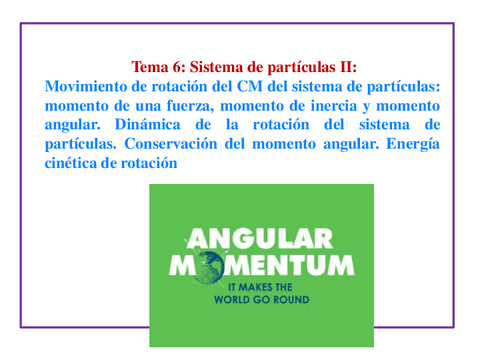 Tema-6.-Rotaciones-y-momento-angualr.pdf