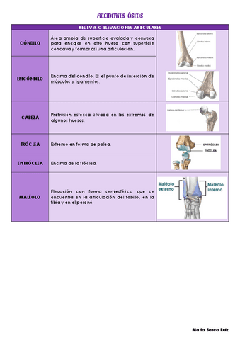 ACCIDENTES-OSEOS.pdf
