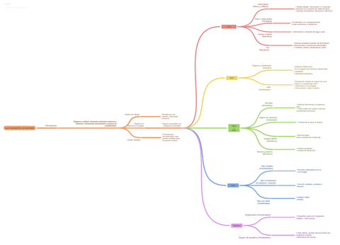 Los-Receptores-Sensoriales.pdf