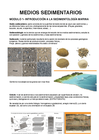 Medios-Sedimentarios-M1y2.pdf