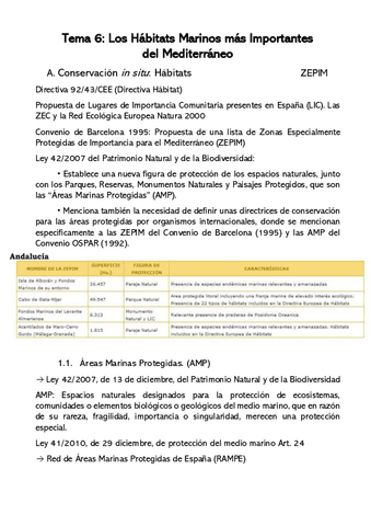 Tema-6IMP.pdf