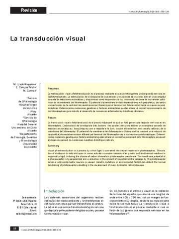 transduccionvisual.pdf