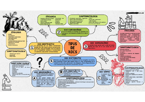 Mapa-mental-tipus-xocs.pdf
