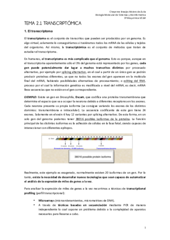 Tema 2.1. Transcriptoma. FINAL.pdf