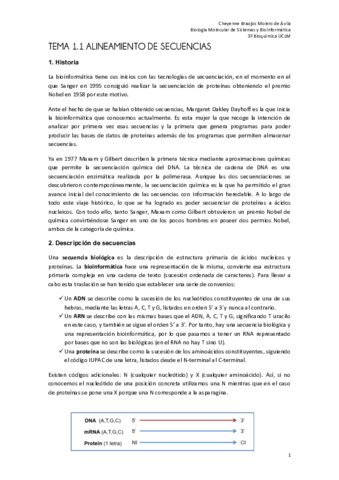 Tema 1.1 sistemas final.pdf