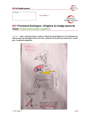 Activitat-digestiu.pdf