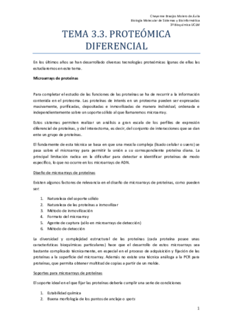 TEMA 3.3 (1) FINAL.pdf