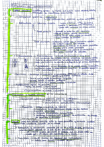 Tema-7-CELULA-pt2-Resumen-Bio.pdf