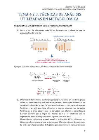 TEMA 4.2.3.pdf