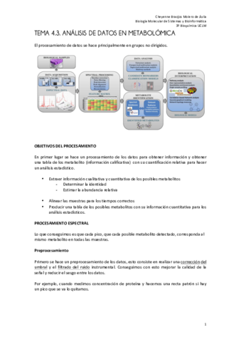 tema 4.3 final bueno.pdf