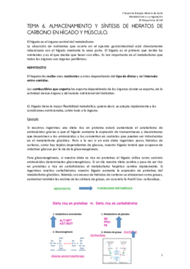 TEMA 6 metabolismo FINAL.pdf