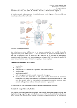 TEMA 4 metabolismo FINAL.pdf