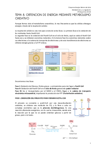 TEMA 8 metabolismo FINAL.pdf