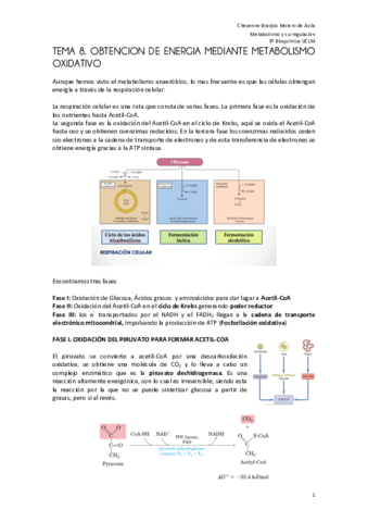 metabolismo del acetil coa