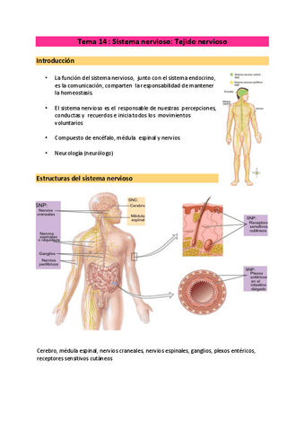 tema-14-a-18-todo-el-SN.pdf