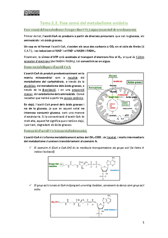 Tema-2.2.-Fase-comu-del-metabolisme-oxidatiu.pdf