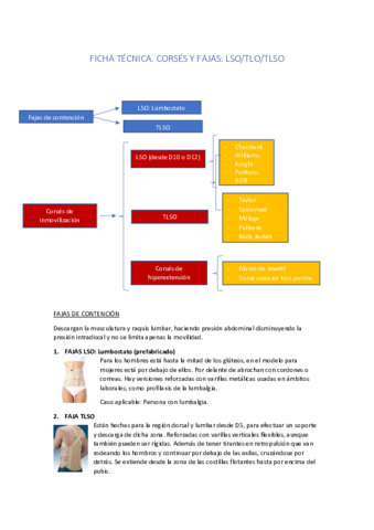 FICHA TÉCNICA. CORSÉS Y FAJAS. LSO- TLO, TLSO.pdf